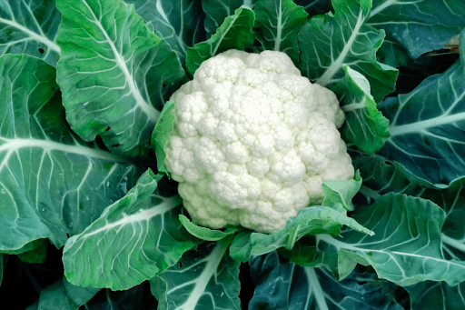 Vegetables that have most pesticides - Cauliflower